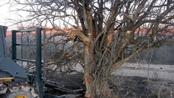 Tree Saw Rental Equipment Register