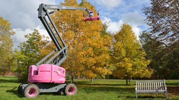 A 63foot boomlift painted pink in honor of Breast Cancer Month is loaned to The University of Guelph to access hardtoreach seeds enabling The Arboretum to help save endangered trees such as the cucumber tree