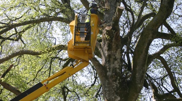 One in five AWP-related deaths involve tree-care workers. Guidelines are available from IPAF on working safely at height in tree care.