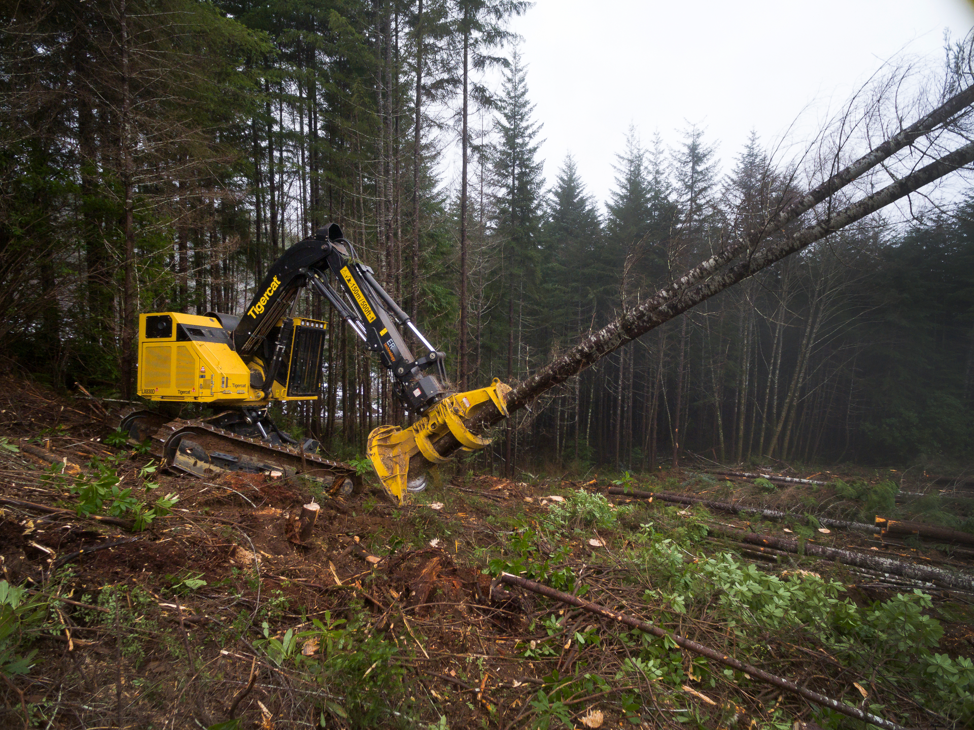 Bejac Tigercat Lx830 D Dji 5e55bcdf732f1