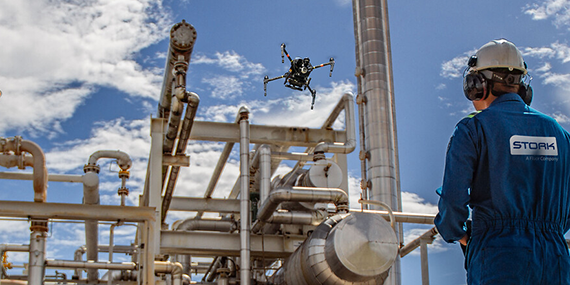 Stork1 5efa60796159b