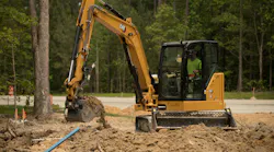 Caterpillar306