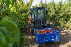 Diamond A Ausa 5fb9815980130 Diamond A Ausa 5fb9815980130