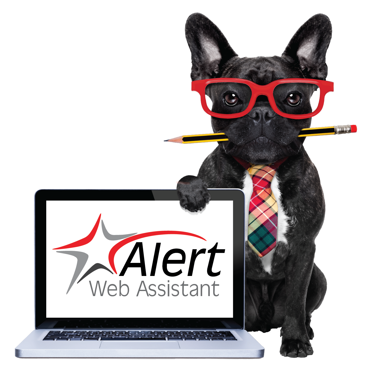 Alert Rental assists construction and rental equipment companies with their websites.