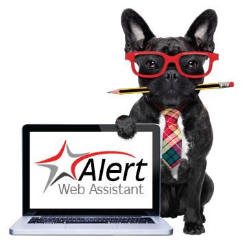Alert Web Assistant Small Transparent