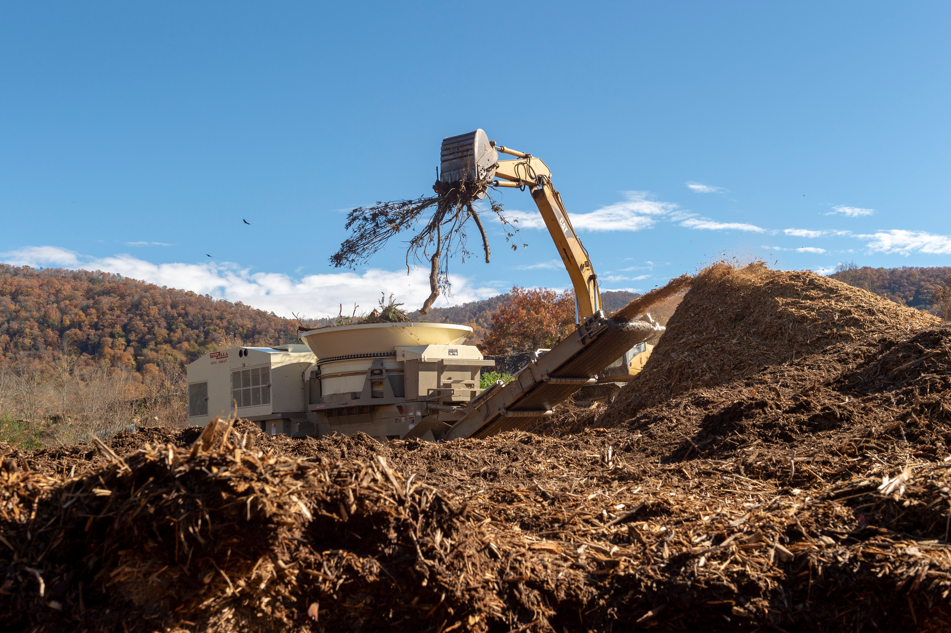 Hogzilla 6109b47cf0e96