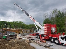 Bay Crane Great Pic 61f4a9a0542ff Bay Crane Great Pic 61f4a9a0542ff