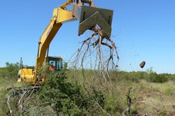 Werk Brau Grubber 6227c821ba268 Werk Brau Grubber 6227c821ba268