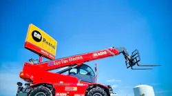 Altorfer Cat Magni Image