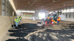 Ara Foundation, Toro In B c 2023 1 Ara Foundation, Toro In B c 2023 1