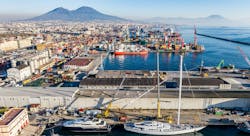 667b6fe0e48d93e0feef1d81 Grove Palumbo 2 2024 667b6fe0e48d93e0feef1d81 Grove Palumbo 2 2024