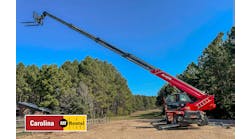 carolinacatmagni carolinacatmagni