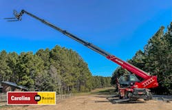 673e95cd4451012c47b398f8 Carolinacatmagni 673e95cd4451012c47b398f8 Carolinacatmagni