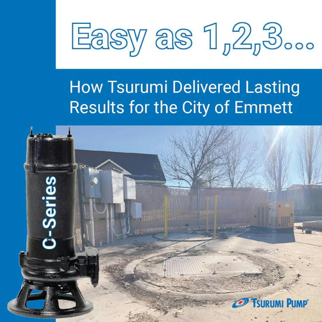 67d3a1a177529258dc5dbe7d Tsurumi City Of Emmett Graphic