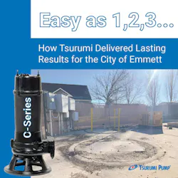 67d3a1a177529258dc5dbe7d Tsurumi City Of Emmett Graphic