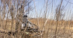 67f5ecdc2b1445a638746966 Diamond Mowers Mini Brush Cutter Pro X 2 1 425 67f5ecdc2b1445a638746966 Diamond Mowers Mini Brush Cutter Pro X 2 1 425