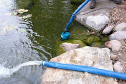 681d3fcde2cf12523bd95d32 Tsurumi Application Nov 681d3fcde2cf12523bd95d32 Tsurumi Application Nov