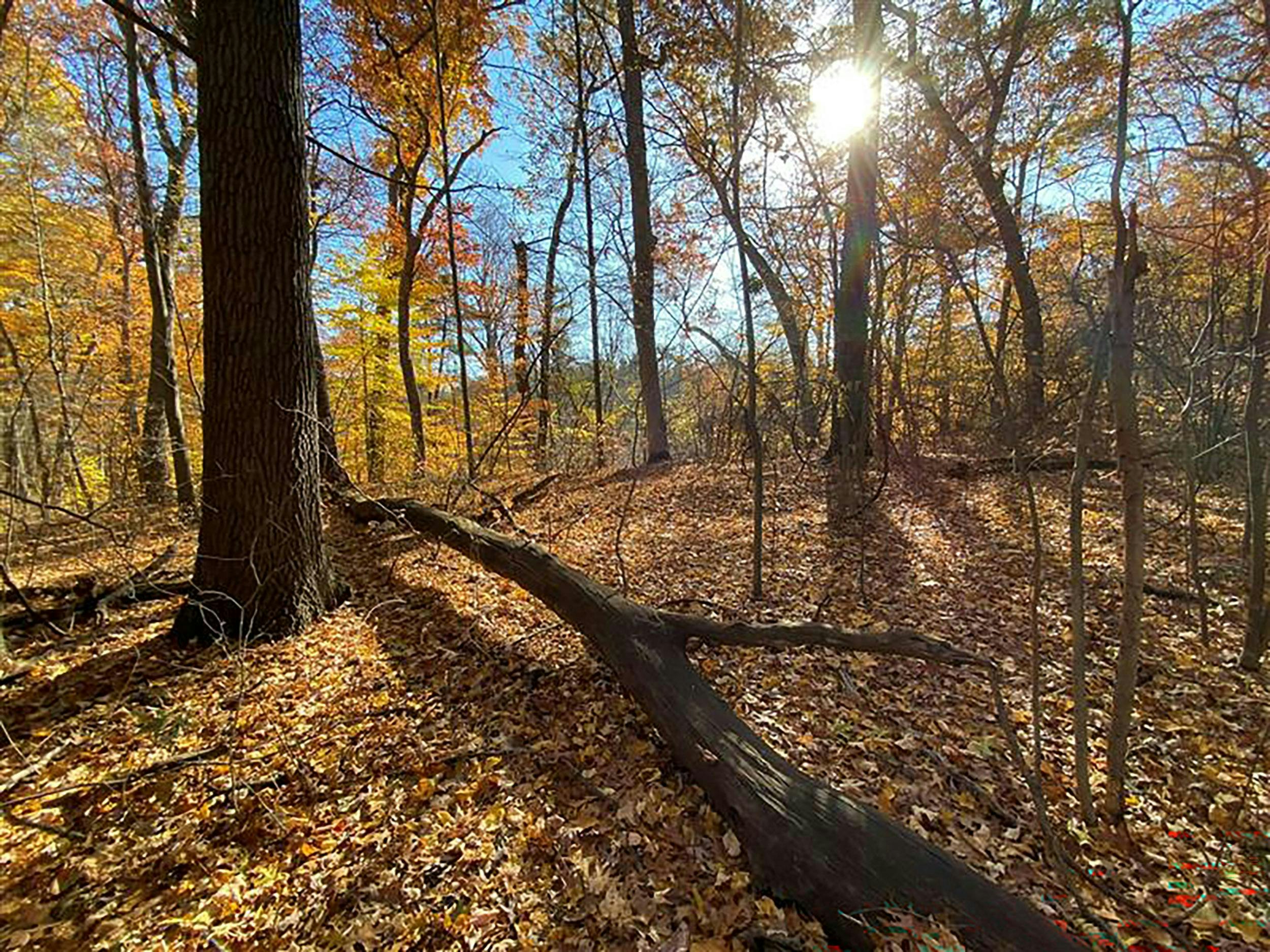 697ae28530ec5023036ef1f3 Hitachi Friendship Botanic Gardens 300 126