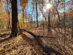 697ae28530ec5023036ef1f3 Hitachi Friendship Botanic Gardens 300 126 697ae28530ec5023036ef1f3 Hitachi Friendship Botanic Gardens 300 126