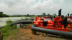 xylem_dscn0301